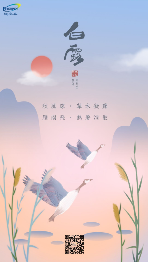 1662517192739010.png image.png